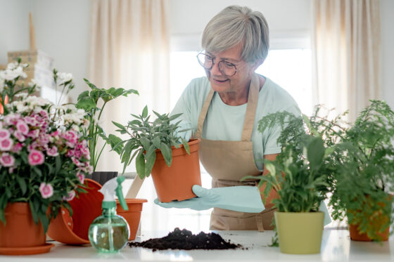 6 Senior Home Care Recommendations for National Gardening Day